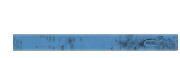 Join NCMN